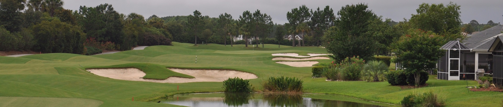 Image of golf ball on tee on grass.