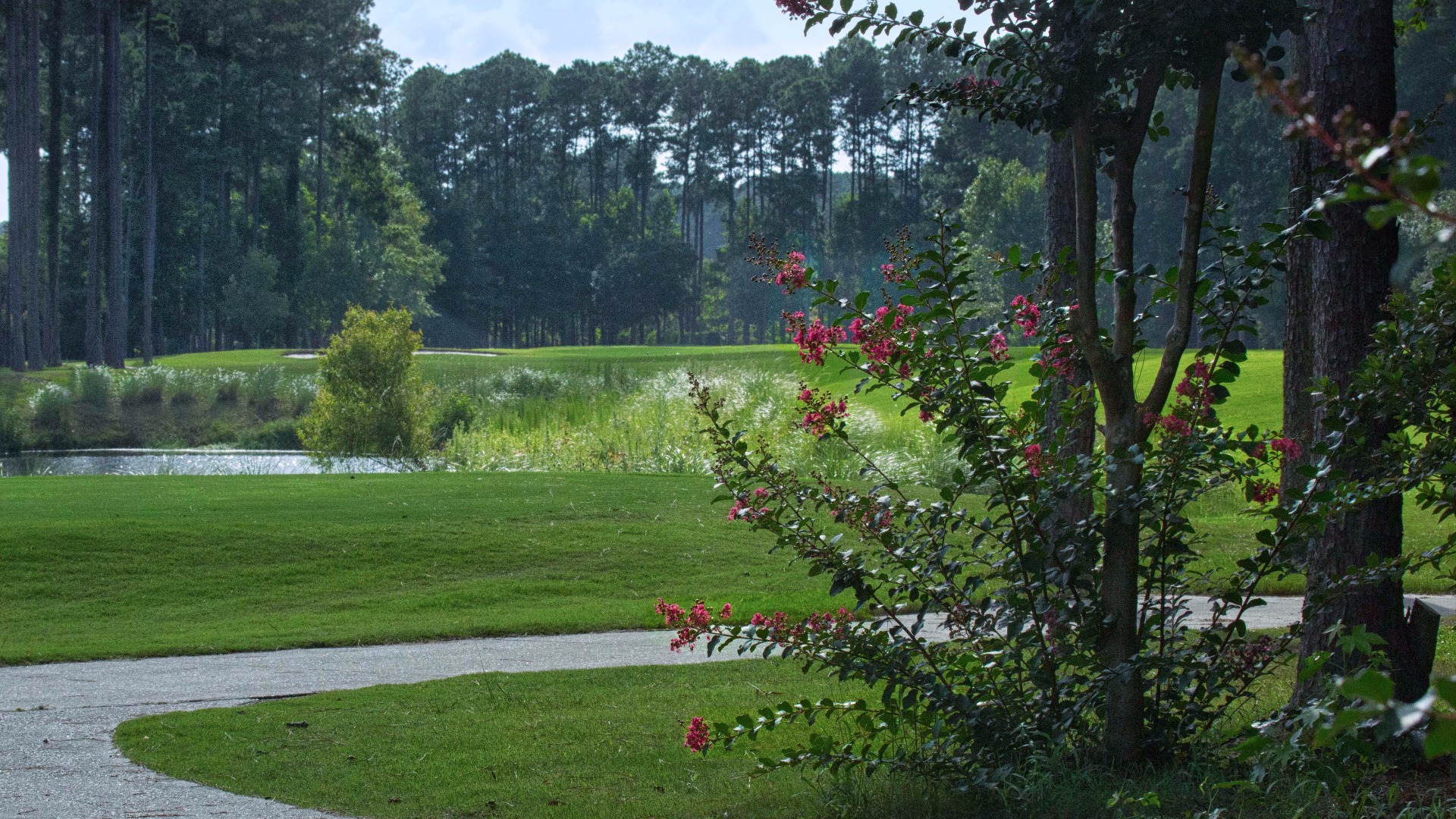 Home Sun City Hidden Cypress Golf Club